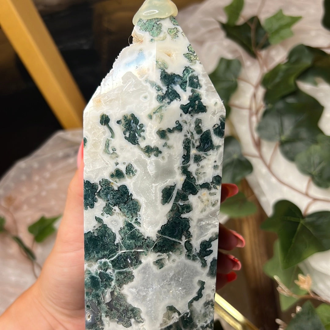 Xxl sammalakaatti torni 3568g