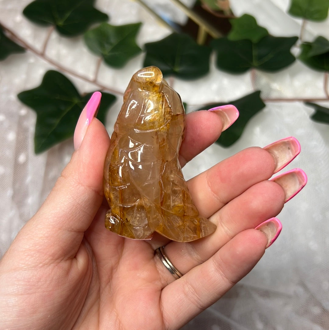 Golden healer pöllö