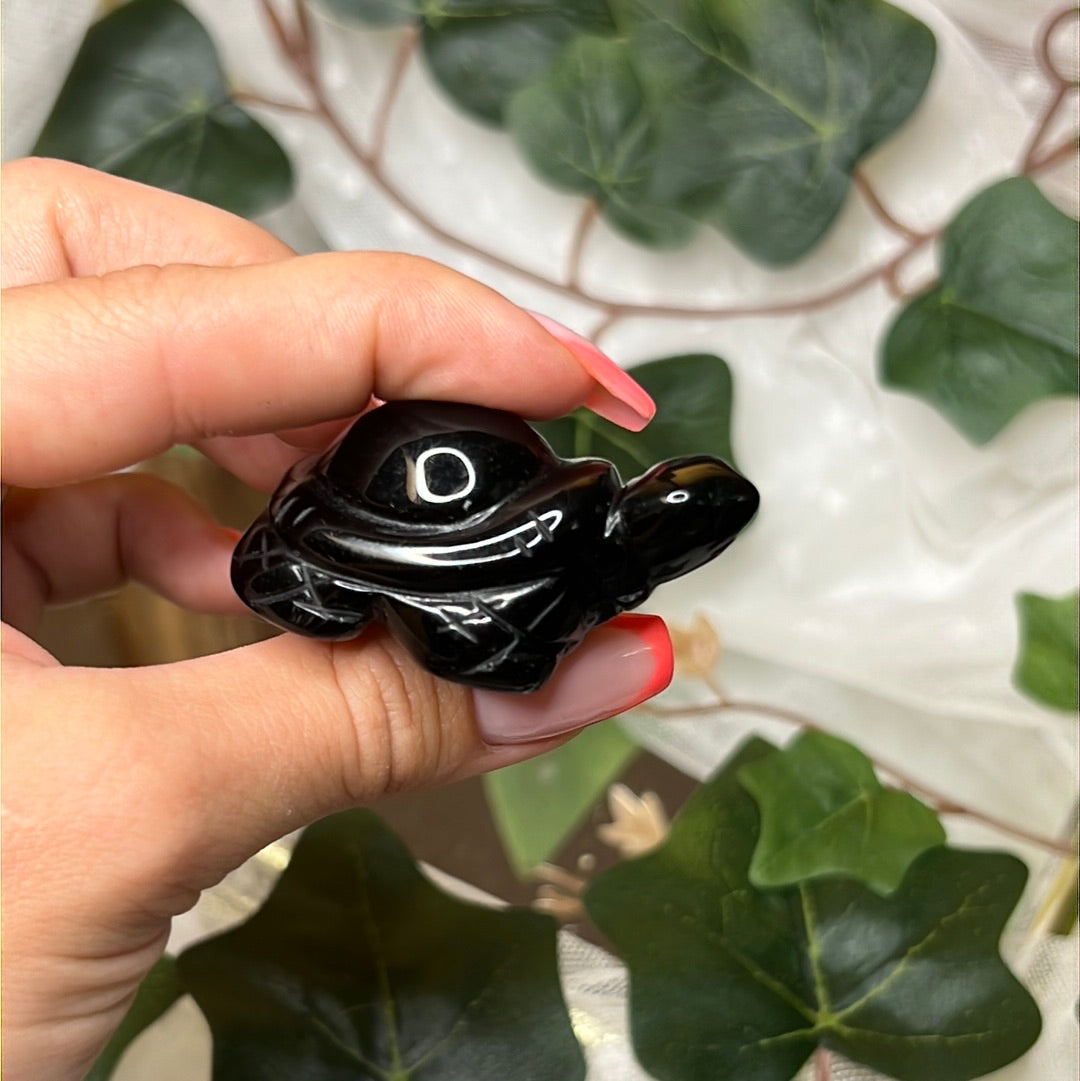 Sateenkaari obsidiaani kilpikonna