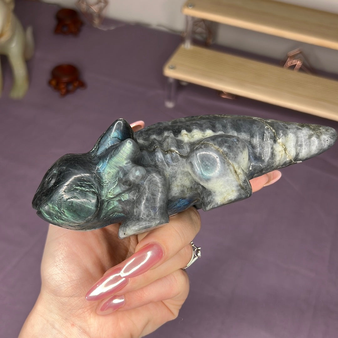 Xxl labradoriitti aksolotli 15cm