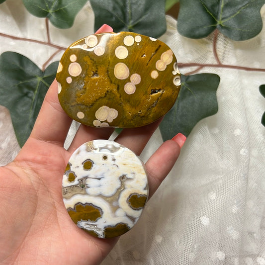 Orbicular ocean jasper kämmenkivi